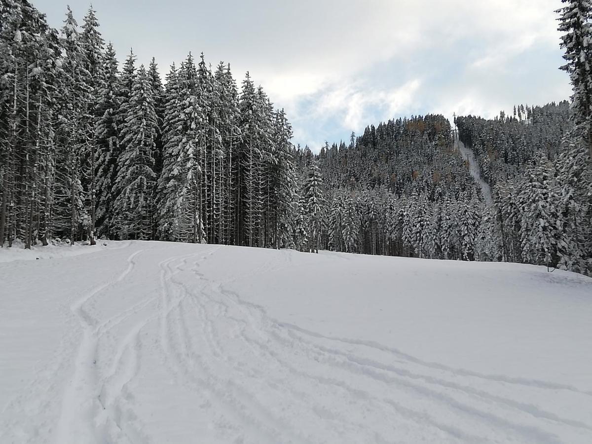 Ferienwohnung Mit Blick Auf Die Buchensteinwand Hochfilzen Exteriér fotografie
